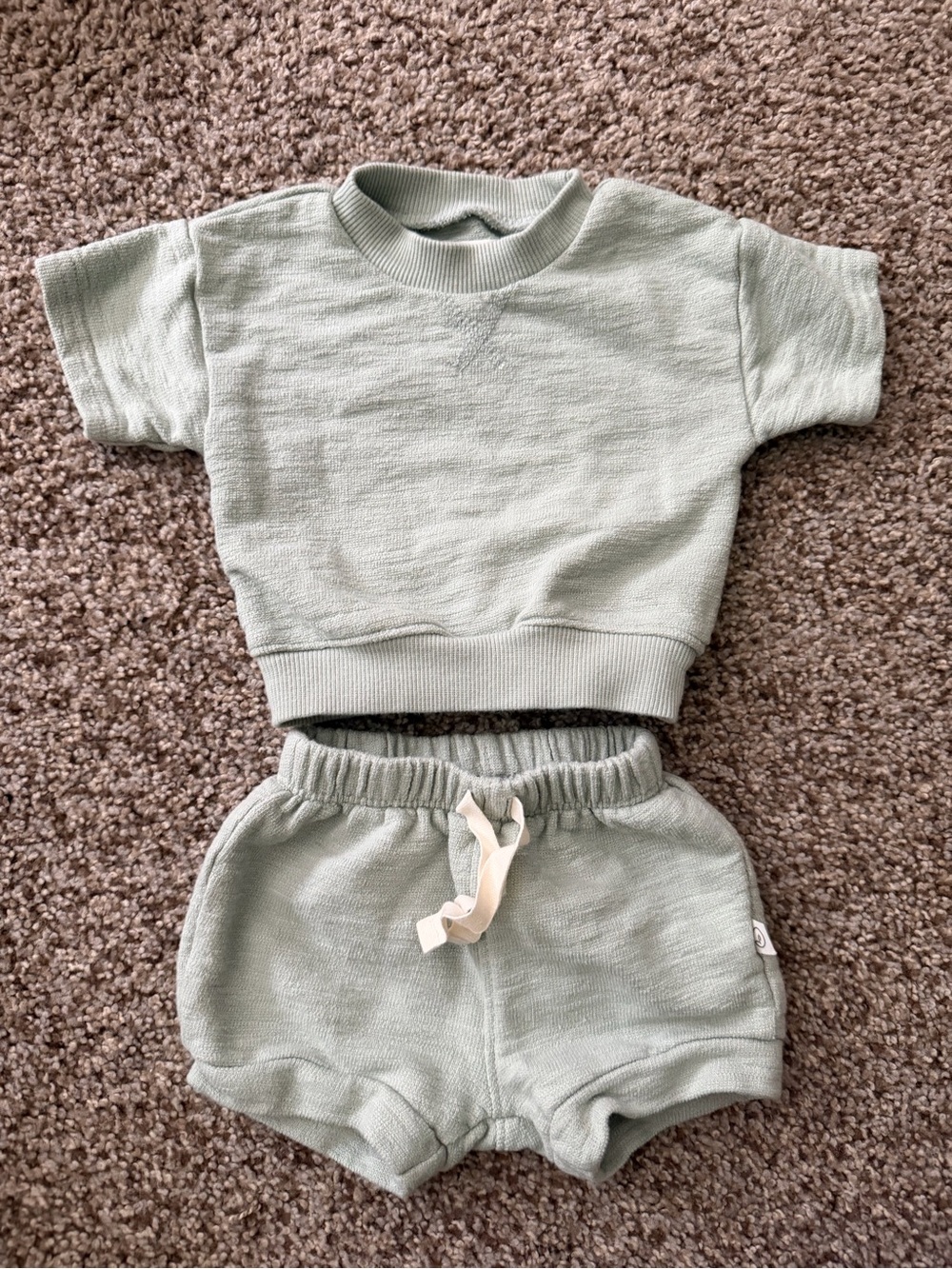 Carter's Little Planet Sage Green Short Sleeve Top & Shorts Set